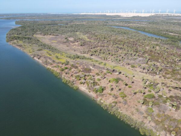 Imagem 1 de Ilha fluvial cercada pelo Rio Jaguaribe em Fortim